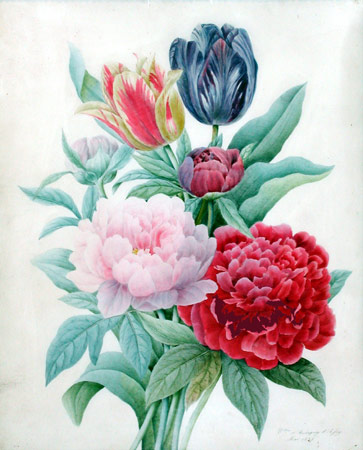 DÍ DỎM 8 THÁNG BA Comtesse D`Aubigny D`Afoy A Bouquet of Peonies and Tulips